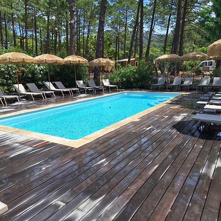 Petralegna Villa Porto-Vecchio  Eksteriør billede