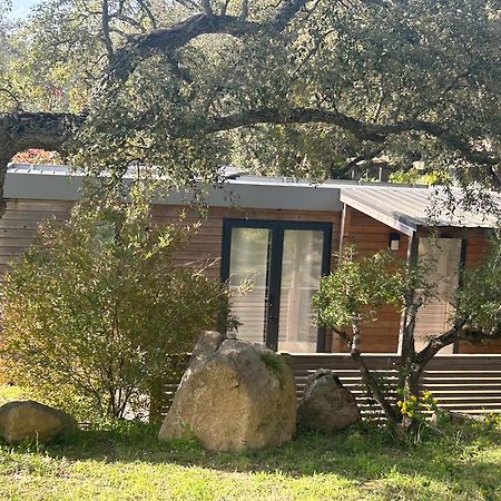 Petralegna Villa Porto-Vecchio  Eksteriør billede