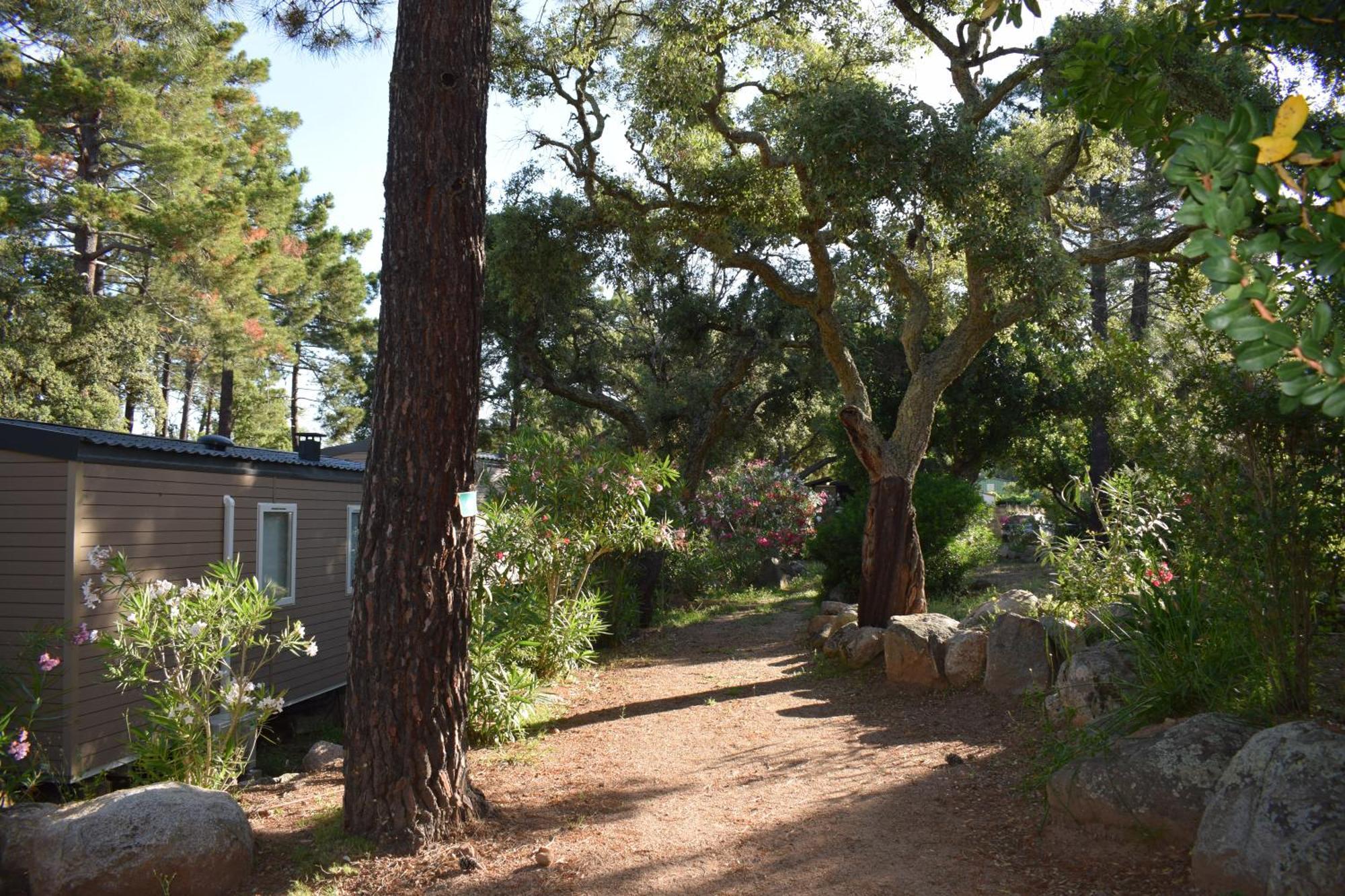 Petralegna Villa Porto-Vecchio  Eksteriør billede